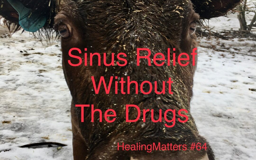 Sinus Relief Without The Drugs: HealingMatters 64