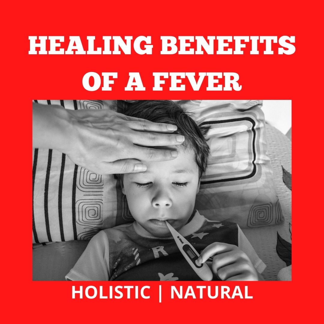 The Holistic Health Benefits Of A Fever › Strategic Healing